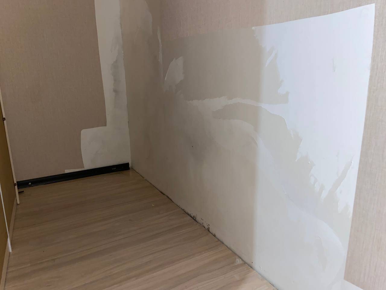 6643ef64-dac7-4138-8cc9-23564a8c31d5.jpg